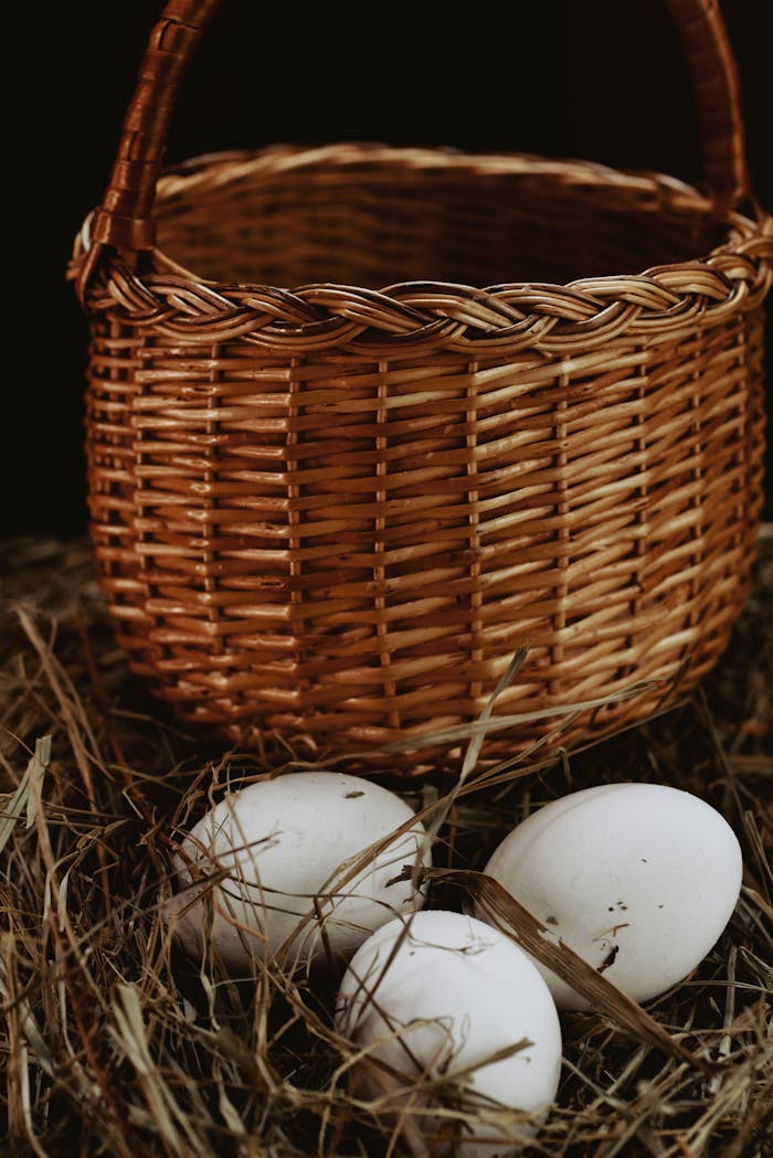 High angle of wicker basket placed near nest with white chicken eggs in countryside